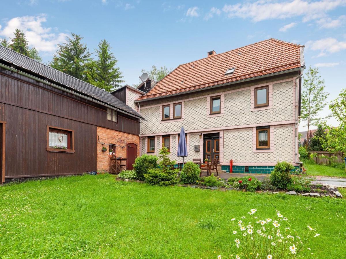 Apartment With Private Terrace Benneckenstein Eksteriør billede